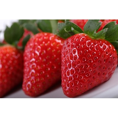 完熟　古都華(ことか)2箱(4パック)【配送不可地域：離島】