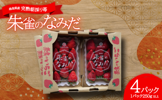 ご自宅用おまかせ便! 朱雀のなみだ (by花水土香) 2箱4p(1p250g以上)クラフト箱×トレー【配送不可地域：離島】