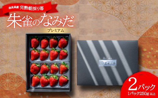 ※糖度11度以上※ 朱雀のなみだ プレミアム (by 花水土香) 完熟朝採り苺(250g以上×2p)【配送不可地域：離島】