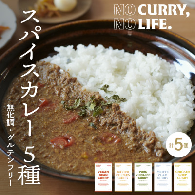 【NO CURRY, NO LIFE.】着色しないスパイスカレー5種[冷凍]【配送不可地域：離島】