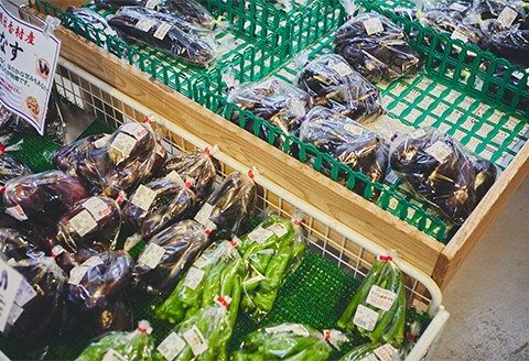 明日香村産　旬の新鮮野菜もりもりセット