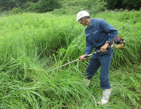 農地等草刈作業代行サービス（2000㎡以下）