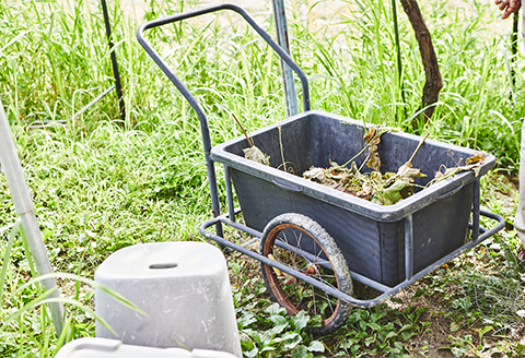 「明日香畑で育てた葡萄のワイン」　720ml　1本（製造年2020年）