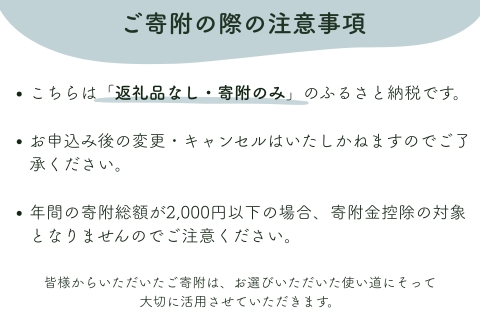 【返礼品なし】明日香村への寄附 1口：5,000円 寄付のみ 応援【ふるさと納税】 5,000円