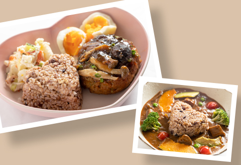 「古代三色発酵玄米」レトルト【2食入パック+4食入パック】 6食（２食+４食）