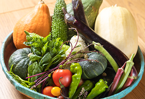 「Daterra」スペシャルフルコースペアチケット【ランチ】 ランチペア