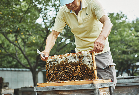 特選レンゲはちみつ（180g） 180g