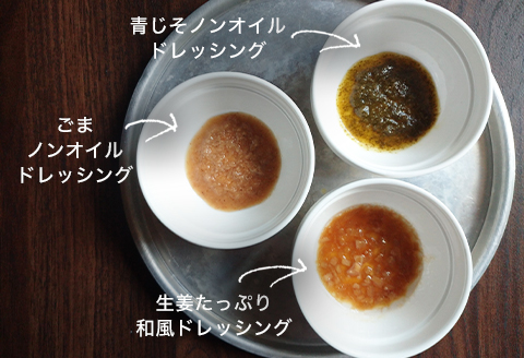 【無添加】ドレッシングセット（ごまノンオイルドレッシング・青じそノンオイルドレッシング・生姜たっぷり和風ドレッシング・生姜の佃煮）