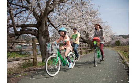 レンタサイクル利用券（普通自転車・３名様まで）