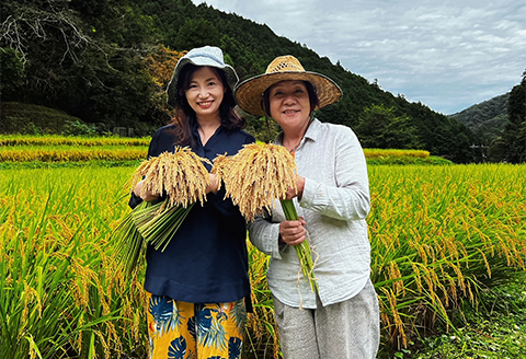 「古代三色発酵玄米」レトルト【2食入パック+4食入パック】 6食（２食+４食）