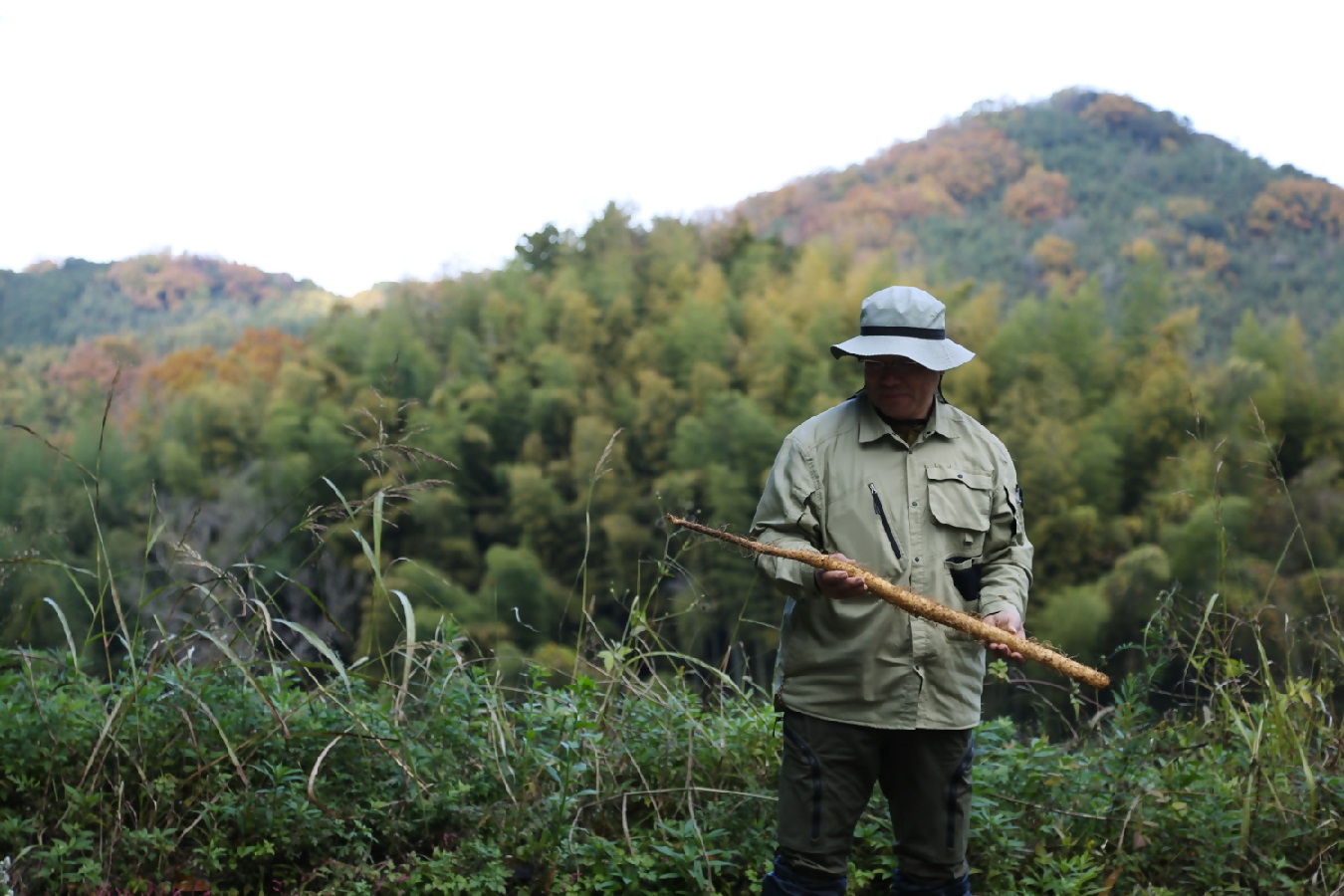 飛鳥自然薯『一白 IPPAKU』カット（約500g×1箱） カットもの（約500g）