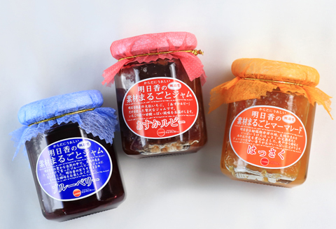 明日香素材まるごとジャム ３点セット（あすかルビー・はっさくのマーマレード・ブルーベリー） 3種（あすかルビー・はっさく・ブルーベリー）