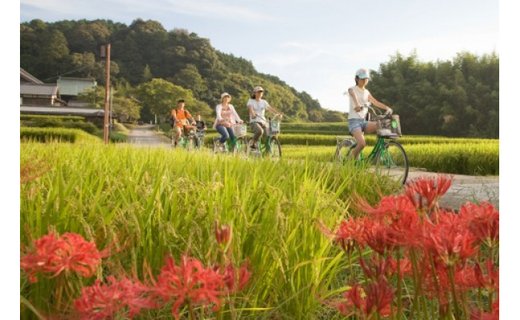 レンタサイクル利用券（普通自転車・３名様まで）