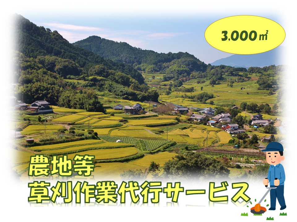 農地等草刈作業代行サービス（3000㎡以下）