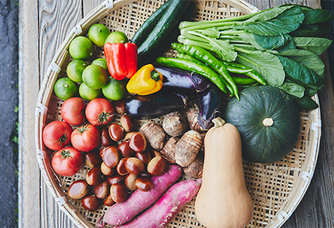 明日香村産　旬の新鮮野菜もりもりセット
