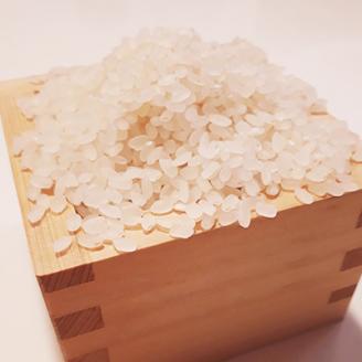 【令和7年度産】《新米》大和米　奈良県広陵町産ヒノヒカリ　七分づき米5kg///ひのひかり 広陵