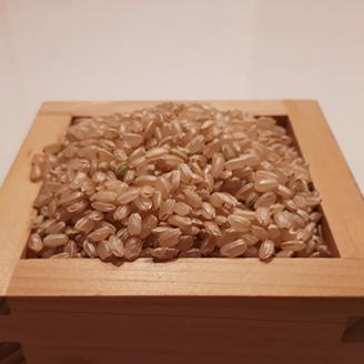 【令和7年度産】《新米》【11月下旬より順次発送予定】色彩選別加工済大和米 奈良県広陵町ヒノヒカリ玄米10kg///ひのひかり 玄米