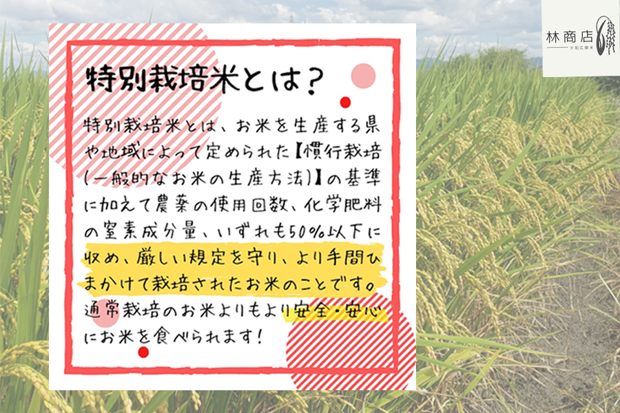 【定期便先行予約】《新米》【令和8年 1月～ 12ヶ月定期便】　特別栽培米　奈良県広陵町産ヒノヒカリ　白米5kg×12ヶ月 /// ひのひかり ヒノヒカリ ブランド米 大和米 白米 安心 安全 美味しい 人気