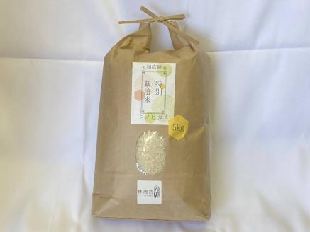 【令和7年度産】《新米》特別栽培米　奈良県広陵町産ヒノヒカリ　白米5kg