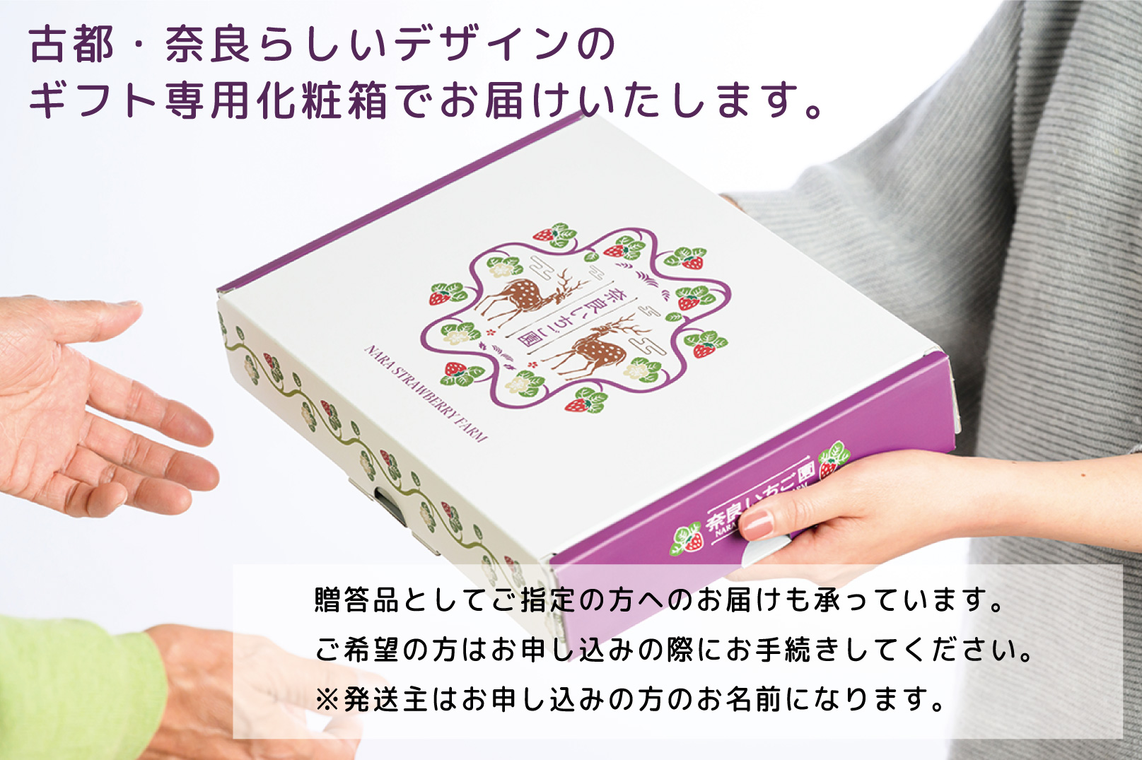 先行予約 数量限定 朝採り 古都華 完熟 2月より順次発送奈良県特産 朝採り高級ブランドいちご「古都華」 // いちご イチゴ 古都華 フルーツ 果物 旬 限定 ブランド 朝採り 完熟 いちご ことか イチゴ 先行予約 古都華 数量限定 古都華 甘い 先行受付 予約 贈答用 ギフト 化粧箱