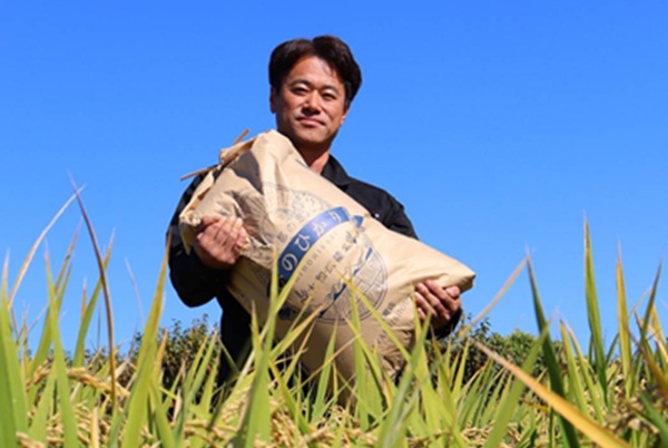 【令和7年度産】《新米》特別栽培米　奈良県広陵町産ヒノヒカリ　白米10kg