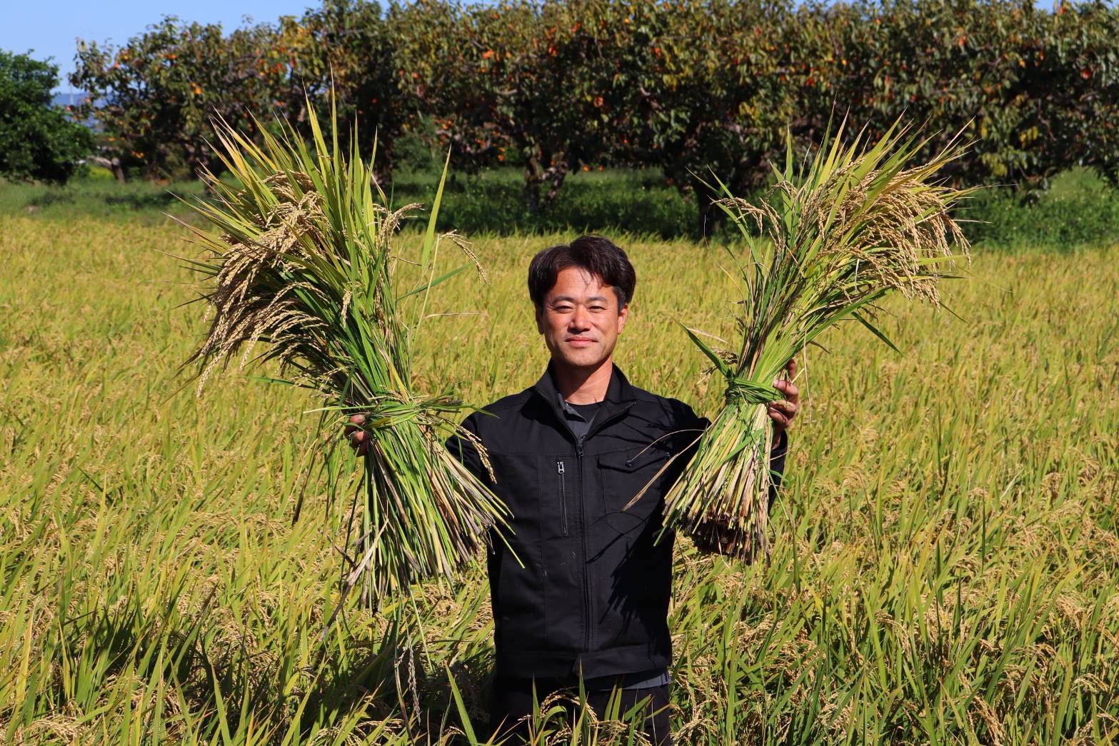 【令和7年度産】《新米》【11月下旬より順次発送予定】大和米　奈良県広陵町産ヒノヒカリ　白米5kg///ひのひかり