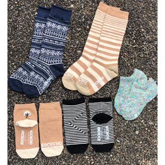 くちゅした・ソックチュ俺に任せろ5足セット男児13-15m (広陵町)