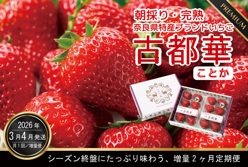 定期便 先行予約 【3・4月発送2ヶ月定期便】奈良県特産 高級ブランドいちご「古都華」旬の増量2ヶ月定期便(各月4パック） // いちご イチゴ 古都華 フルーツ 果物 旬 限定  ブランド 定期便  朝採り 完熟 いちご ことか イチゴ 先行予約 贈答用 ギフト 化粧箱