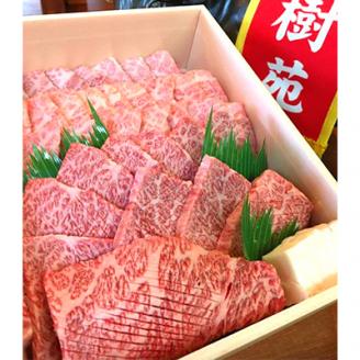 黒毛和牛 上焼肉セット(タレ付き) 1kg///上ロース 上バラ