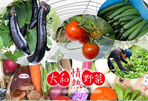 大和情熱野菜の玉手箱///旬の野菜の詰め合わせ 広陵