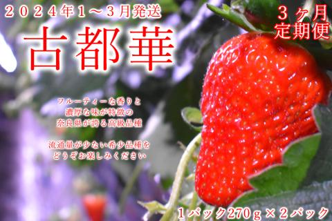 [先行予約][数量限定][3か月定期便]奈良県の高級イチゴ「古都華」1月-3月 / 国産 奈良県 果物 フルーツ イチゴ いちご 苺 期間限定 数量限定 先行予約 農福連携