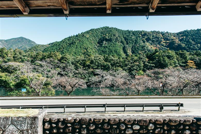 湖畔の宿なないろ ペア1泊2日 宿泊券 素泊まり(食事なし)