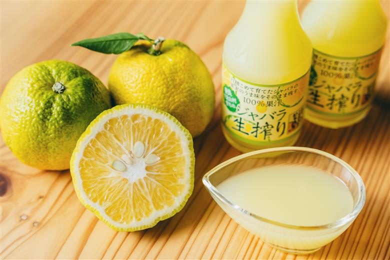 先行予約2025年11月以降～順次発送 奈良下北山村 じゃばら生搾り 150mlx2本 じゃばら果汁100％ 柑橘 奈良下北山村育ちのジャバラ