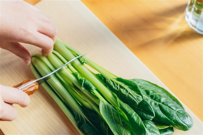 ひのき 一枚板 まな板 【柾目・追柾目】Lサイズ 48cm 天然木 国産 奥吉野桧 ヒノキ カッティングボード プレート テーブルウェア キッチン 台所 家事 料理