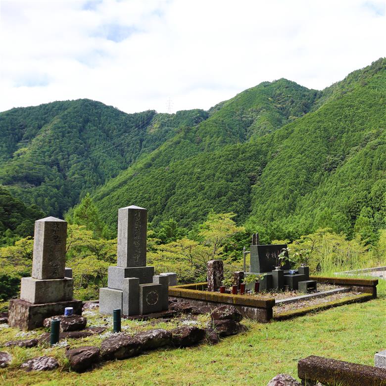 お墓清掃サービス年間4回分 下北山村 お墓 清掃サービス 代行 なかなか帰省が出来ない方、遠方・ご高齢の方に代わって清掃