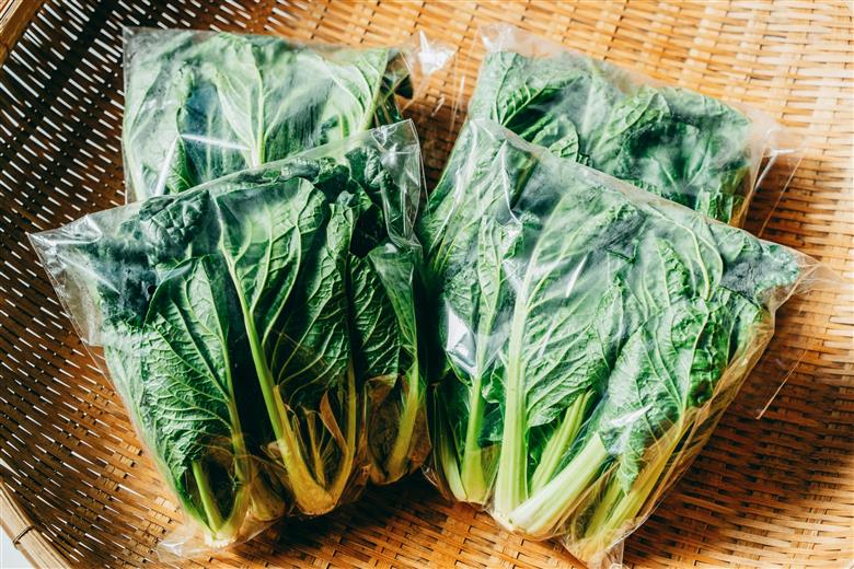 【自然栽培】大和の伝統野菜 下北春まな1kg