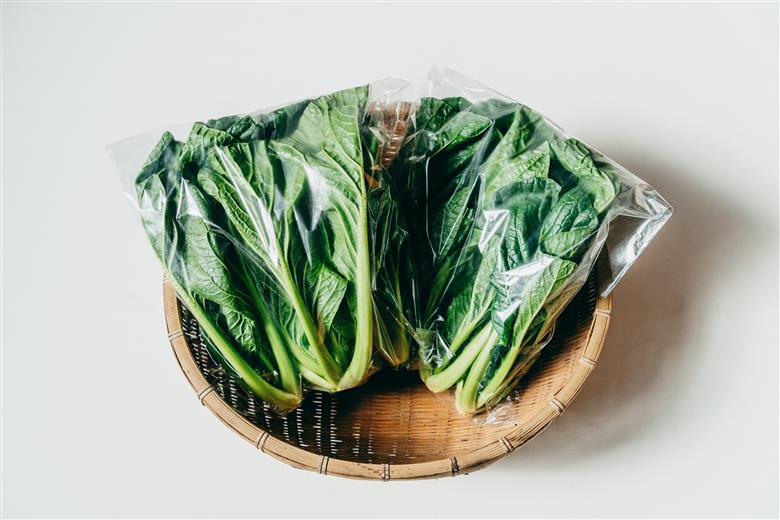 【自然栽培】大和の伝統野菜 下北春まな500g