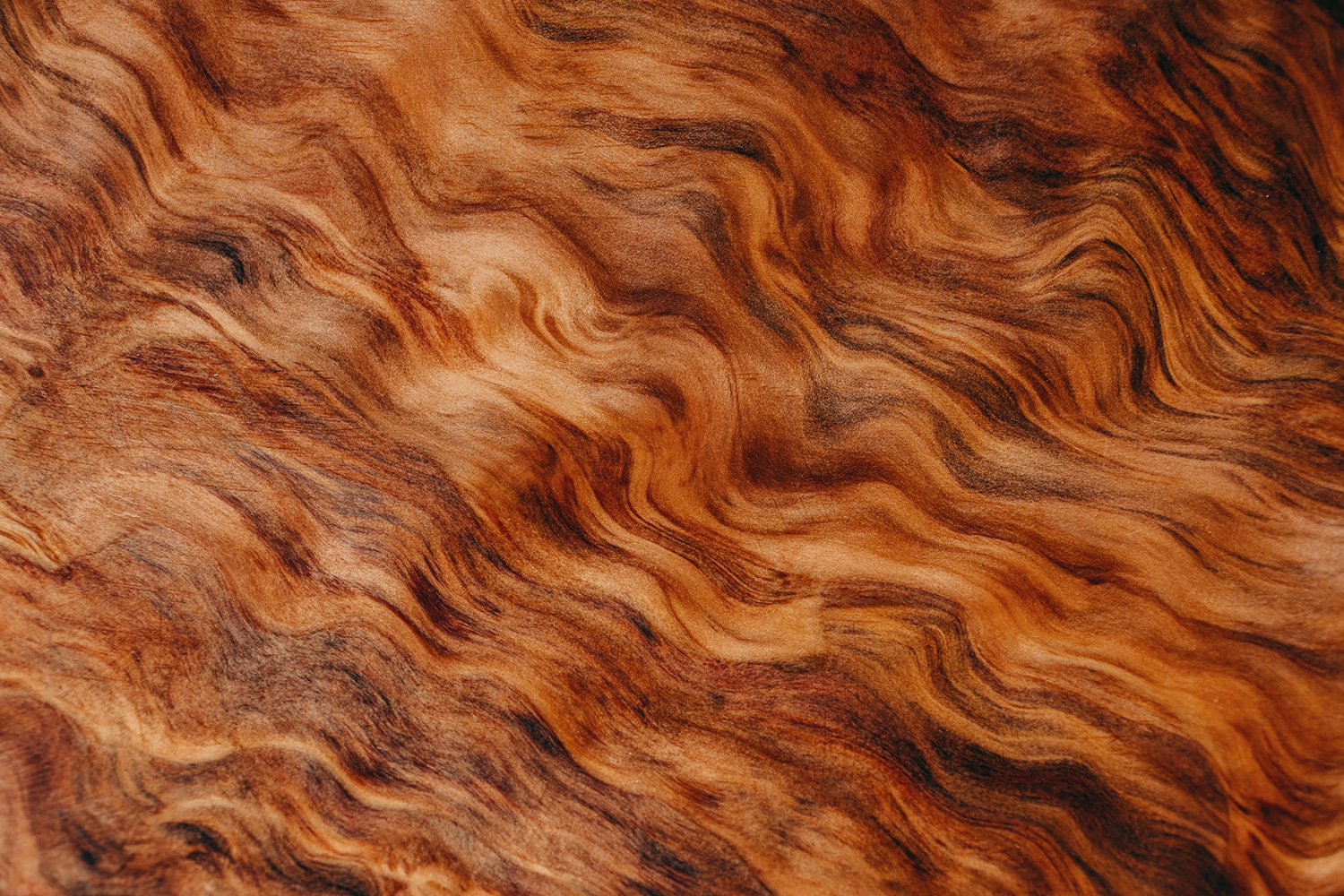 折畳式料理ナイフ（杉杢）、桧一枚板カッティングボード　ー下北山村キャンプギアセットー　杉杢ナイフ