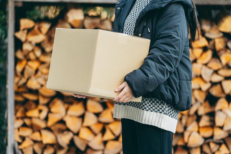 焚き付け薪セット 杉21~24cm 約5kg 奈良県産材 乾燥材 カンナくず付き 薪ストーブ アウトドア キャンプ 焚き火用 便利