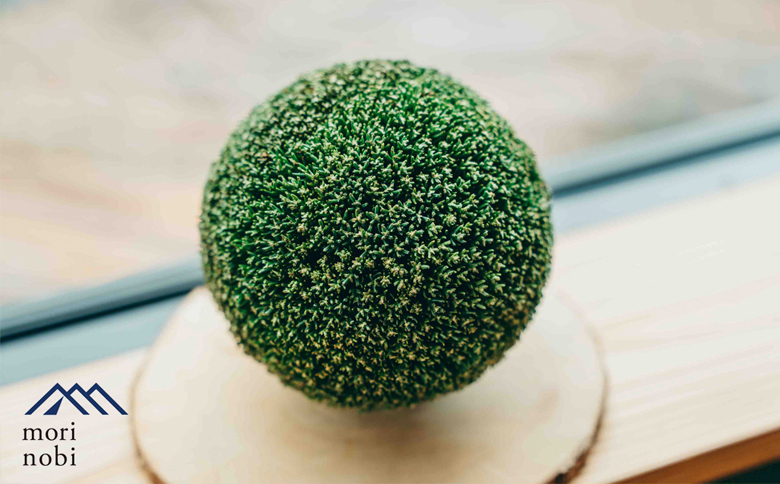 森のめぐみをてのひらに下北山の森でつくる「小さな杉玉」体験