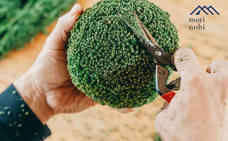 森のめぐみをてのひらに下北山の森でつくる「小さな杉玉」体験