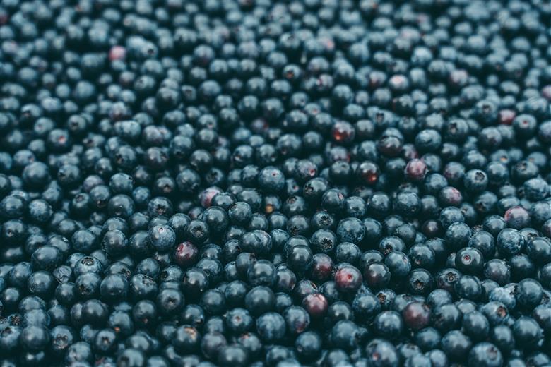 先行受付 2025年9月～発送 としちゃんのブルーベリージャム200gx6個 手摘み 下北山村産 栽培期間中農薬不使用