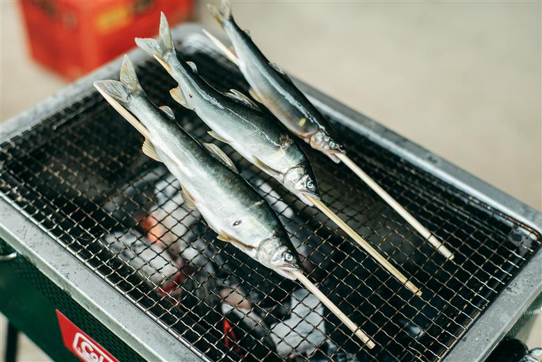 【先行予約】奈良 下北山村 アマゴ・アユ 遊漁年券 川釣り 渓流釣り 【令和8年3月～9月有効】