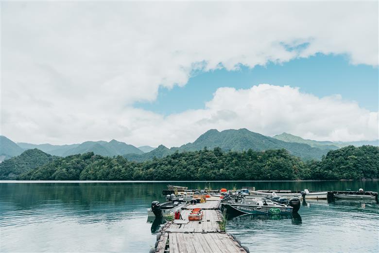 池原ダム  レンタルボート【ウィザード396  パワーチルト付き  EFI 30馬力】トボト スロープ バス釣り 1日乗船券