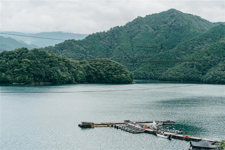 池原ダム  レンタルボート【ウィザード330  2馬力  免許不要】トボト スロープ バス釣り 1日乗船券