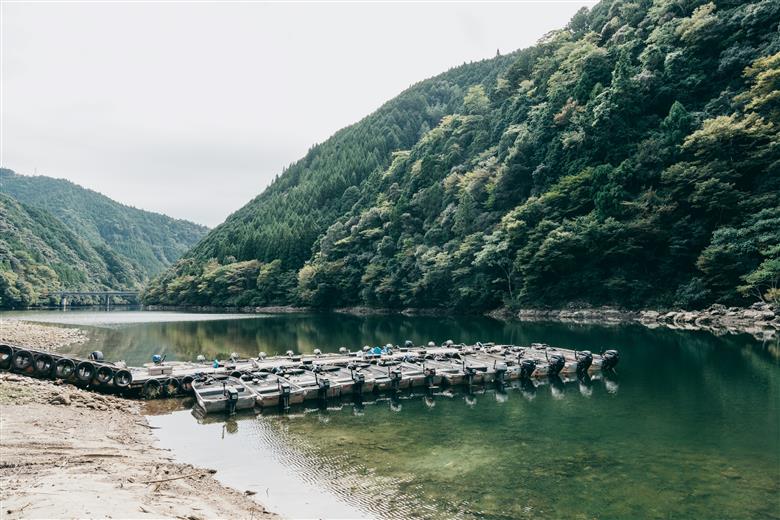 七色ダム  レンタルボート　【ステーサー330SD  免許不要 】バッシングロード バス釣り 1日乗船券