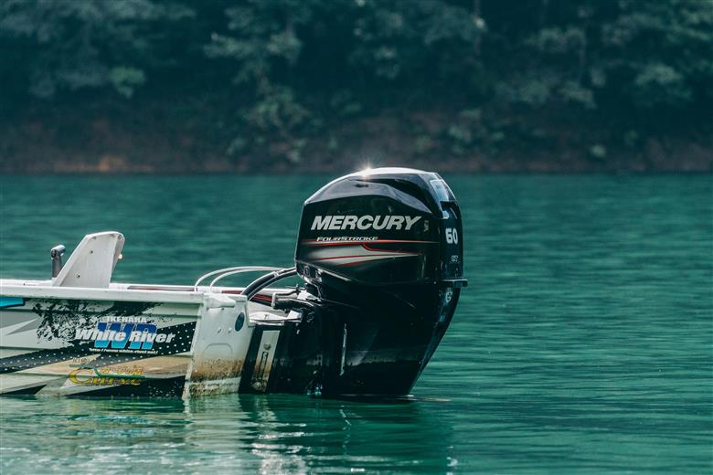 池原ダム  レンタルボート【ステーサー440  60馬力】ホワイトリバー バス釣り 1日乗船券