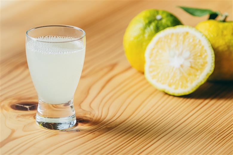 先行予約2025年11月～順次発送　奈良下北山村 じゃばら生搾り ぽん酢セット 300mlx各1本 じゃばら果汁 柑橘 奈良下北山村育ちのジャバラ 料理