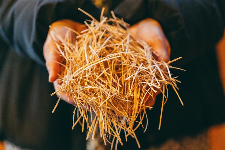 焚き付け薪セット 杉21~24cm 約5kg 奈良県産材 乾燥材 カンナくず付き 薪ストーブ アウトドア キャンプ 焚き火用 便利