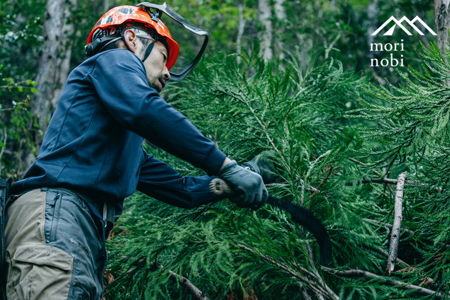 森のめぐみをてのひらに下北山の森でつくる「小さな杉玉」体験
